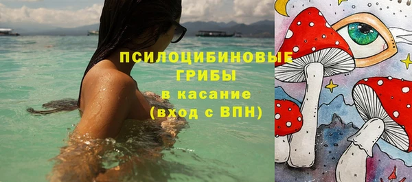 прущие грибы Усолье-Сибирское