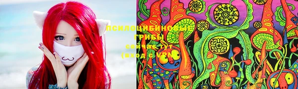 ECSTASY Волоколамск