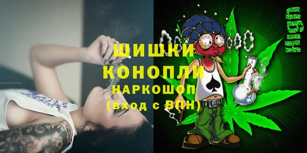 шишки Волосово
