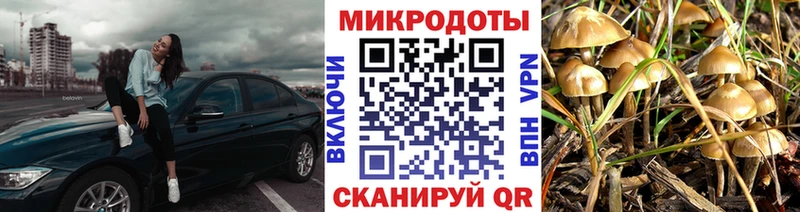 Галлюциногенные грибы Cubensis  Купить где  Туймазы 